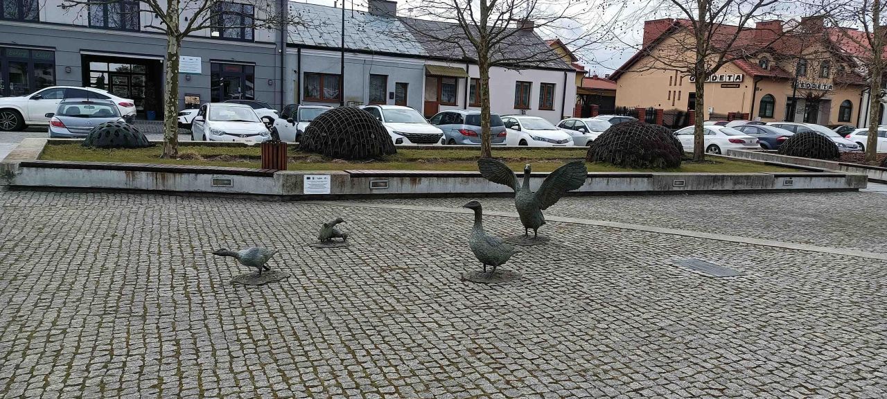 Działka budowlana Brzeźce, ul. Główna. Zdjęcie 45