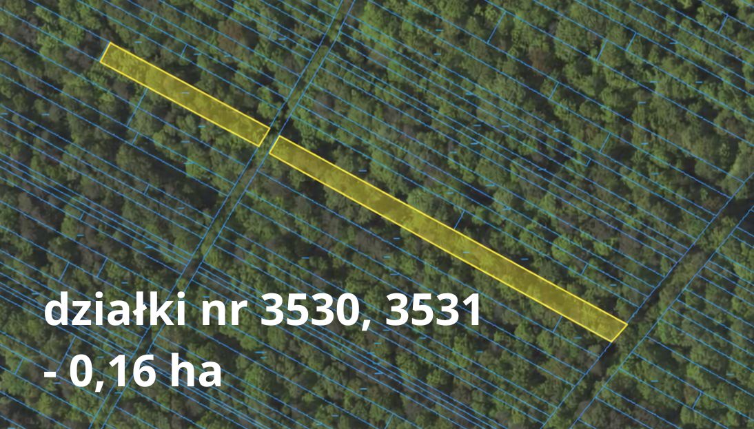 Działka leśna Krężnica Okrągła. Zdjęcie 4
