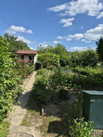 Działka rod Tarnobrzeg, ul. Borów. Zdjęcie 1