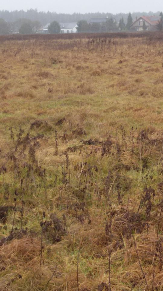Zemljište, 2100 m²