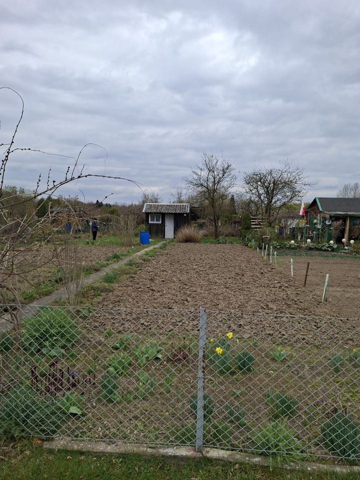 Działka rod Tarnobrzeg Nadole, ul. Przy Zalewie. Zdjęcie 3