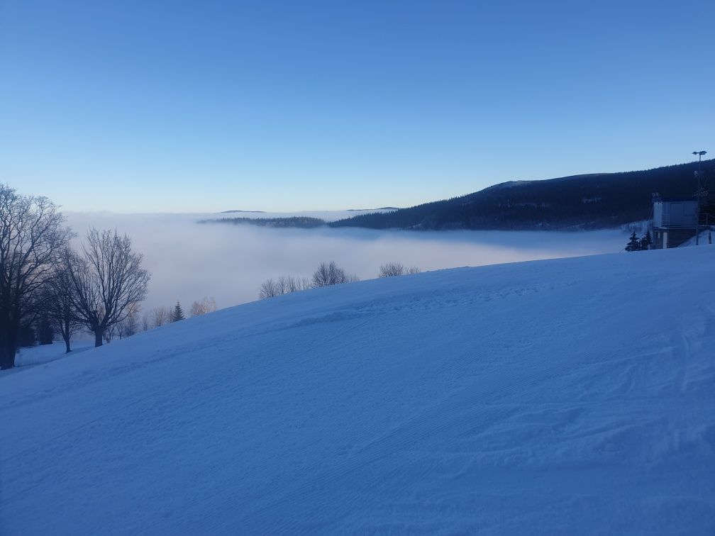Działka rolna Bolesławów. Zdjęcie 5