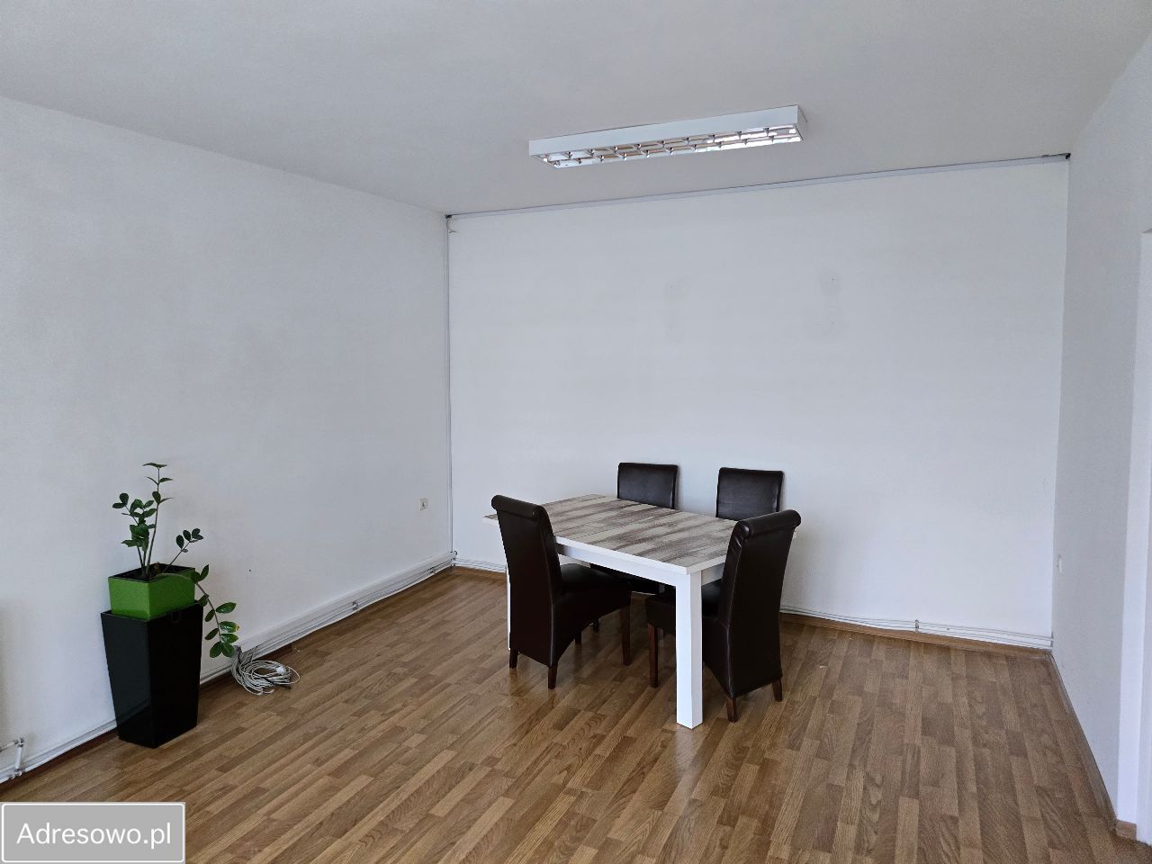 Hala/magazyn Lisi Ogon. Zdjęcie 8