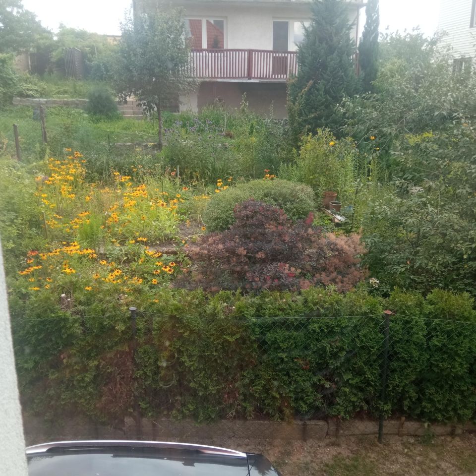 Mieszkanie 2-pokojowe Kętrzyn, ul. Mazurska. Zdjęcie 15