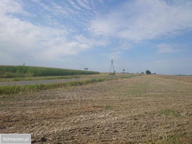 Działka rolna Brzeźno. Zdjęcie 1