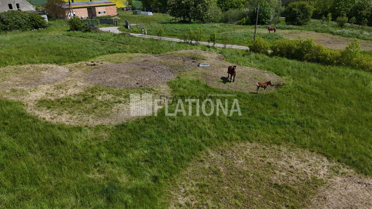 Działka rolna Dalwin. Zdjęcie 3