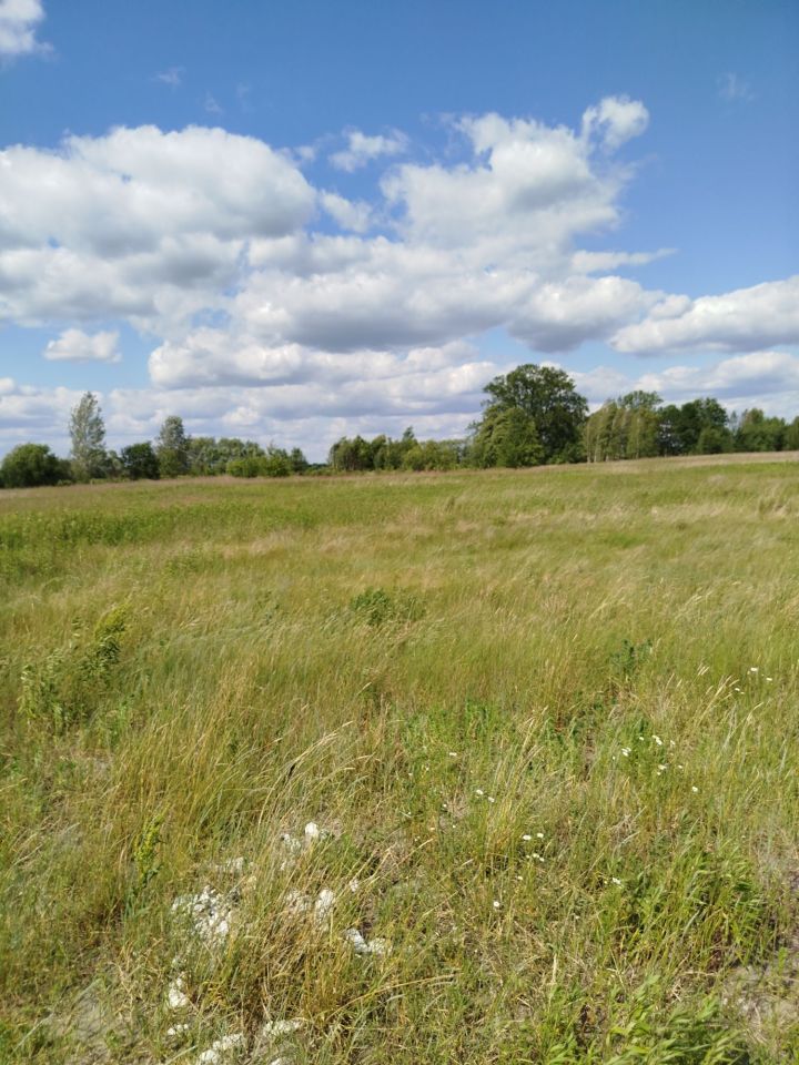 Działka budowlana Kąty. Zdjęcie 3