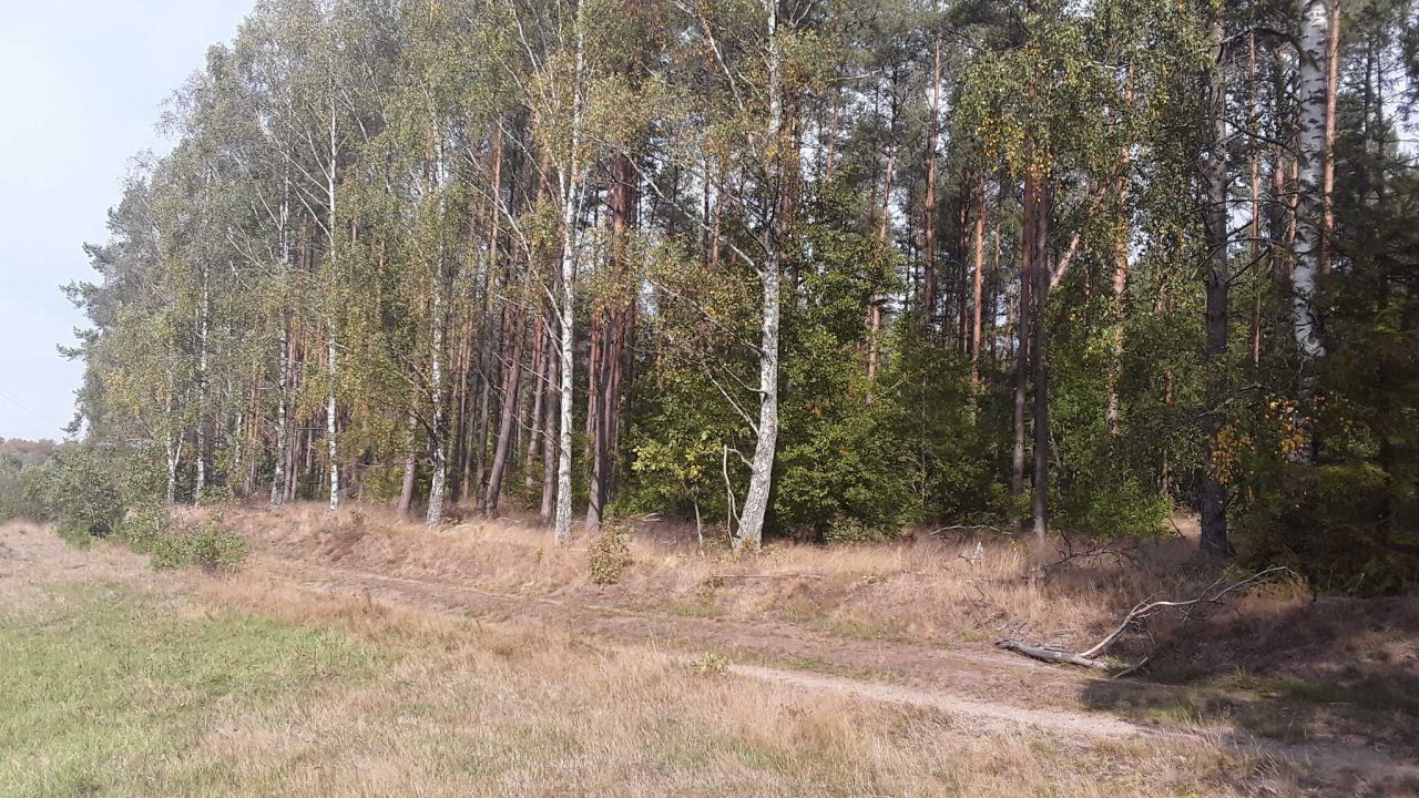 Działka rolna Darżkowo. Zdjęcie 5