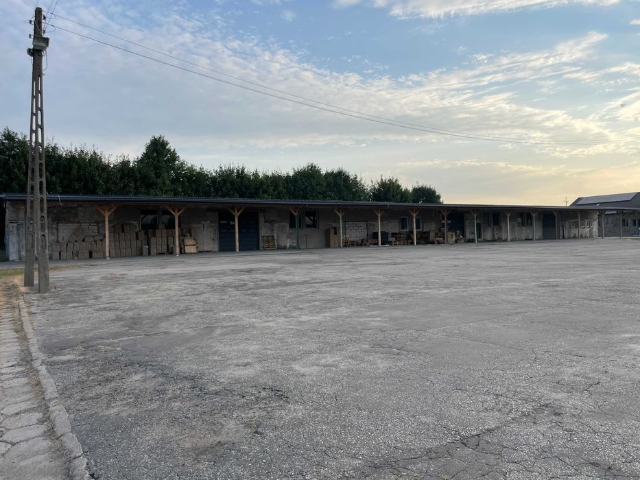 Hala/magazyn Wojciechów-Kolonia Piąta. Zdjęcie 5