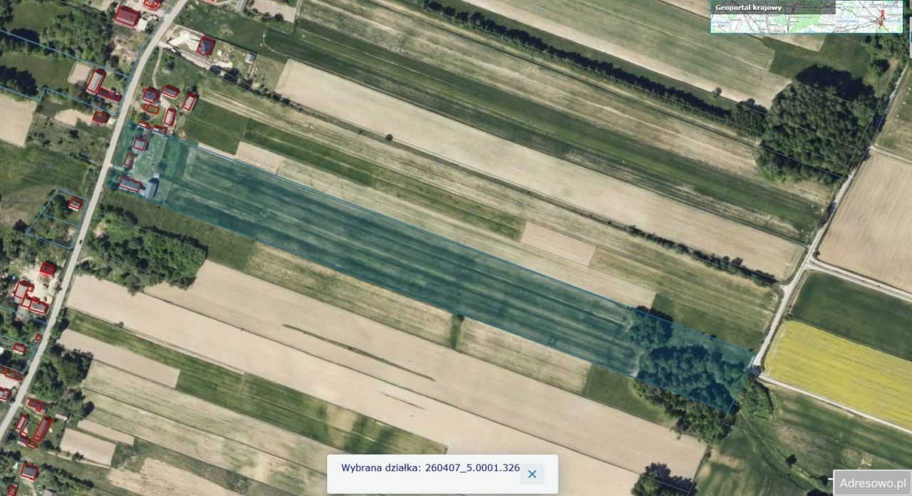 Działka rolna Czyżów. Zdjęcie 7