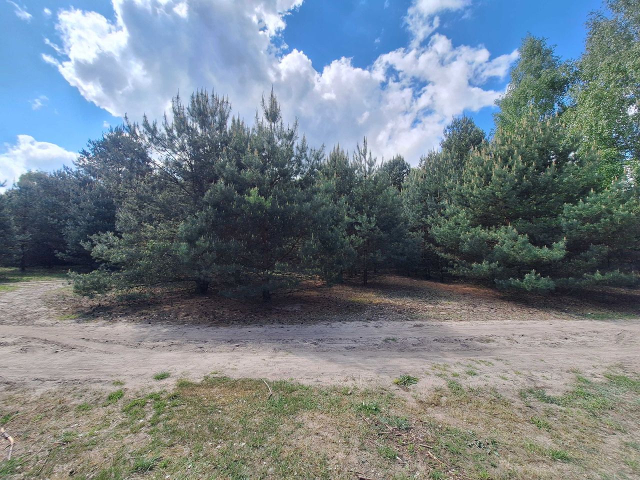 Działka rolna Zarzęcin. Zdjęcie 3