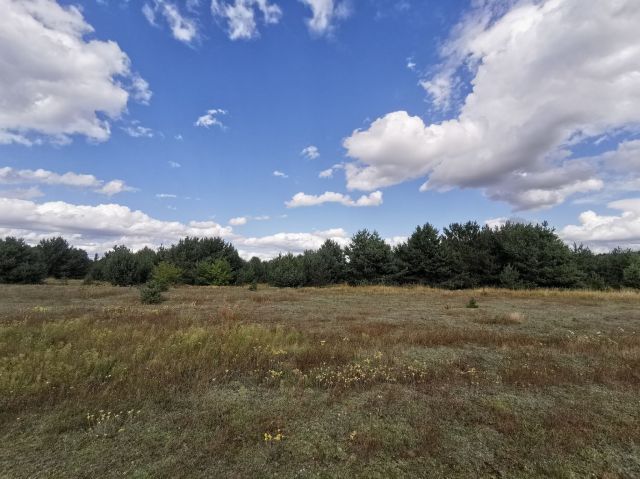 Działka budowlana Dolnik. Zdjęcie 15