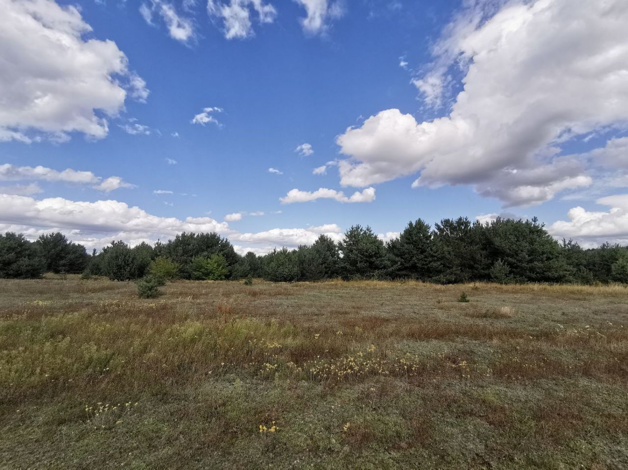 Działka budowlana Dolnik. Zdjęcie 15