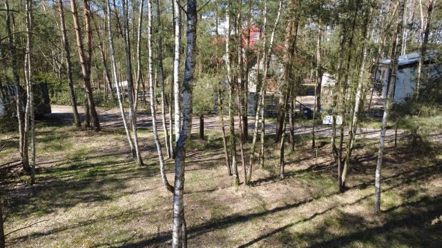 Działka budowlana Dziuplina. Zdjęcie 1