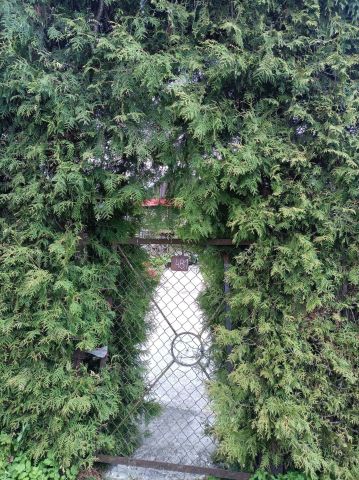 Działka rod Giżycko, ul. Rajska. Zdjęcie 5