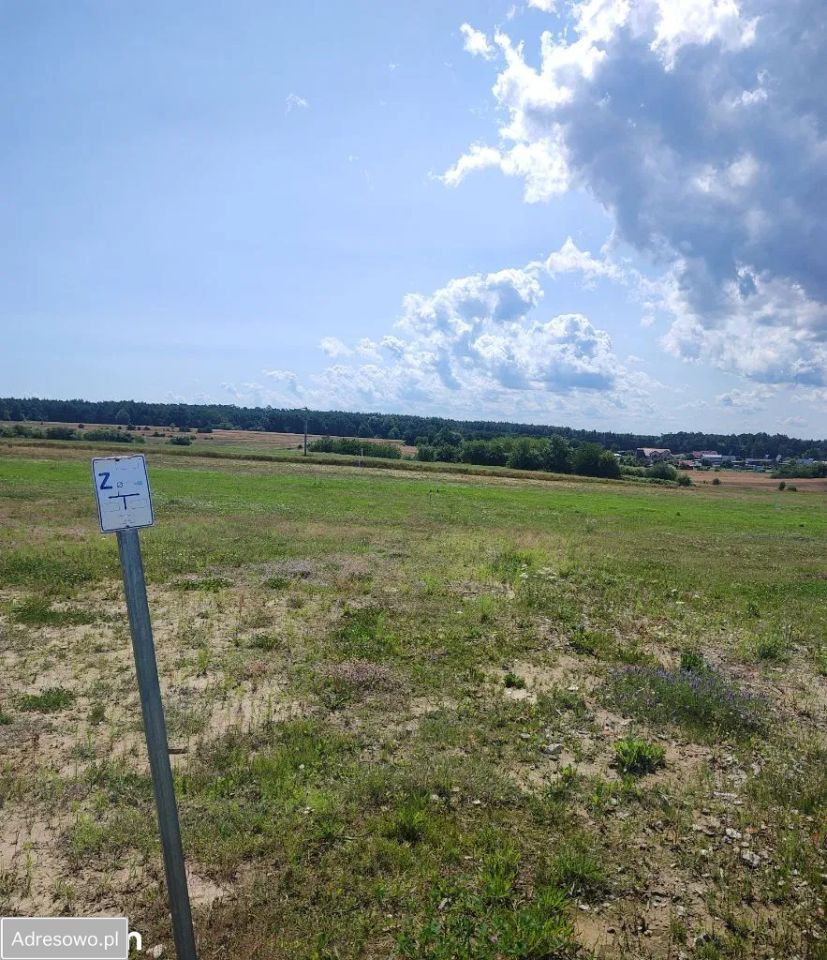 Działka budowlana Jastrzębia Góra. Zdjęcie 10