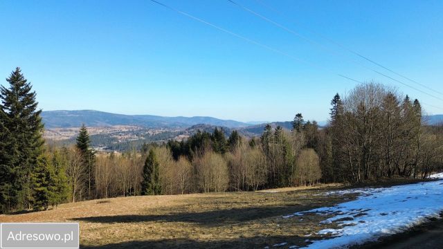 Działka budowlana Zwardoń Rachowiec. Zdjęcie 1