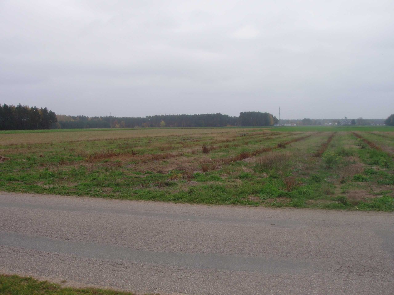 Działka inwestycyjna Lorcin. Zdjęcie 8
