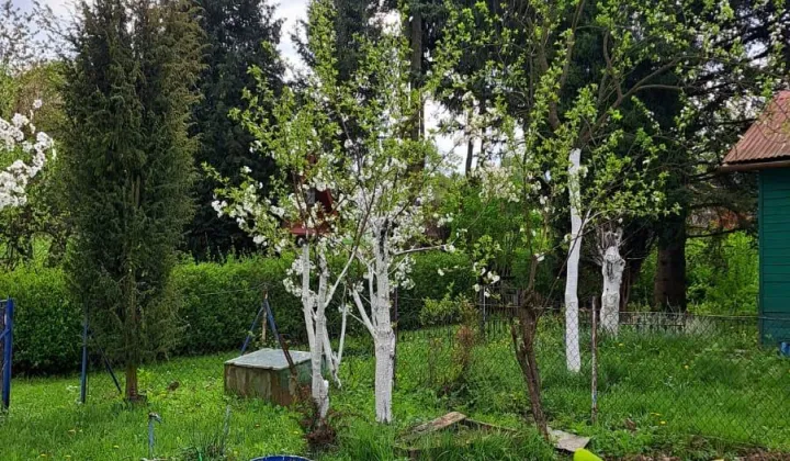 Działka rod Prusy, ul. Krajobrazowa