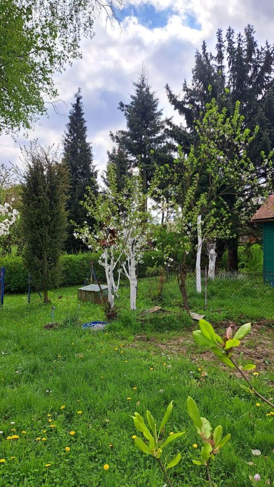 Działka rod Prusy, ul. Krajobrazowa