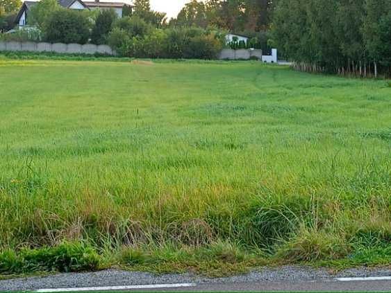 Działka budowlana Pustkowie Lgockie. Zdjęcie 4