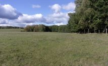 Działka budowlana Goraj. Zdjęcie 1