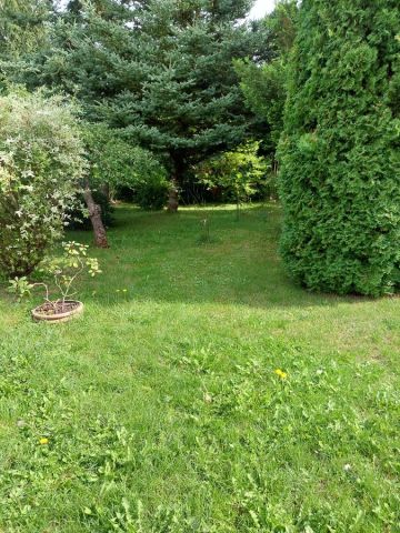 Działka rod Piotrków Trybunalski, ul. Brzeźnicka. Zdjęcie 1