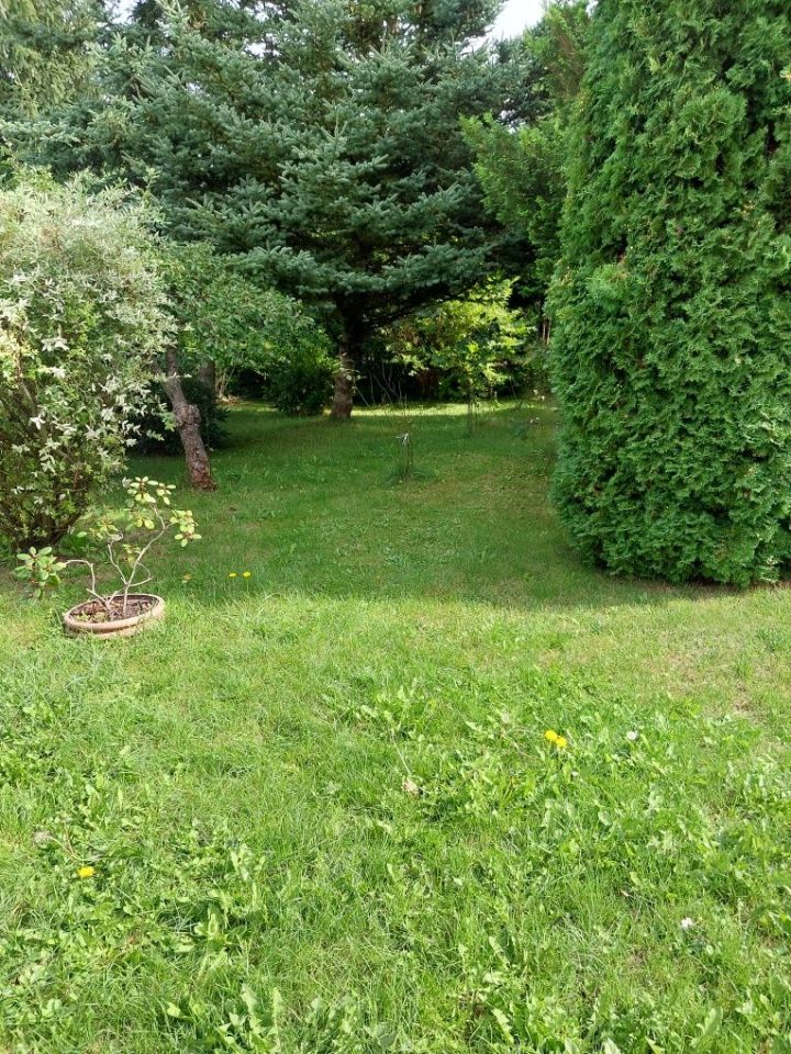 Działka rod Piotrków Trybunalski, ul. Brzeźnicka