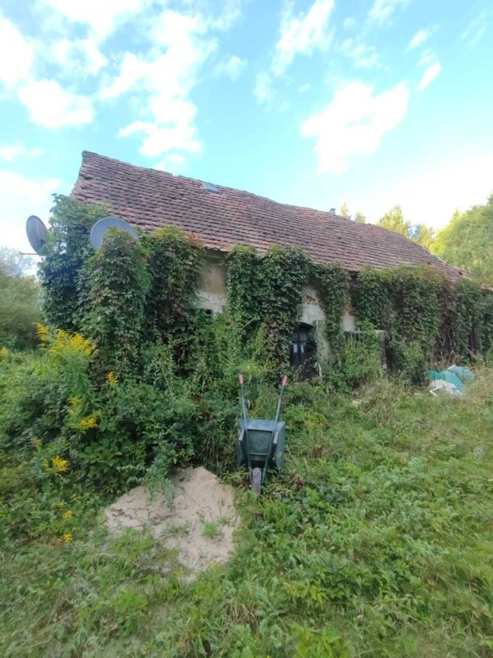 Działka siedliskowa Jaźwina Uliczno. Zdjęcie 6
