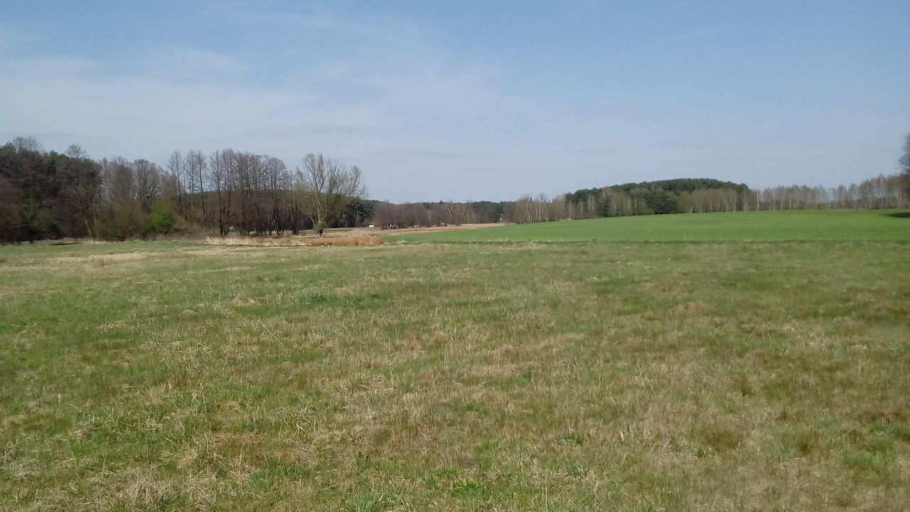 Działka rolna Wartosław. Zdjęcie 2