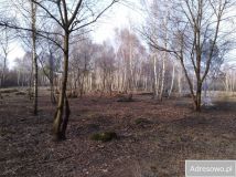 Działka inwestycyjna Pogórska Wola. Zdjęcie 4