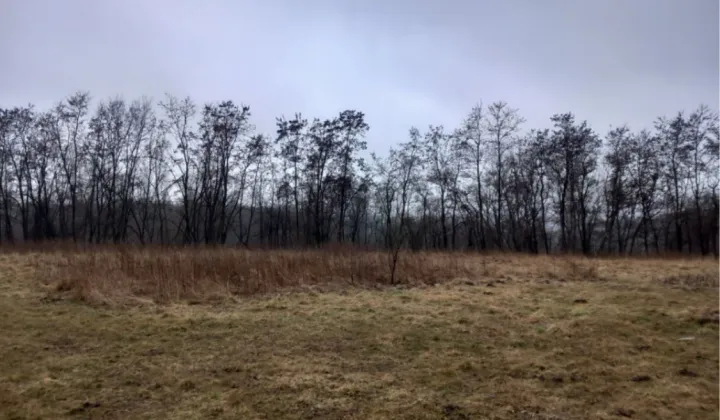 Działka inwestycyjna Gdów, ul. Folwarczna