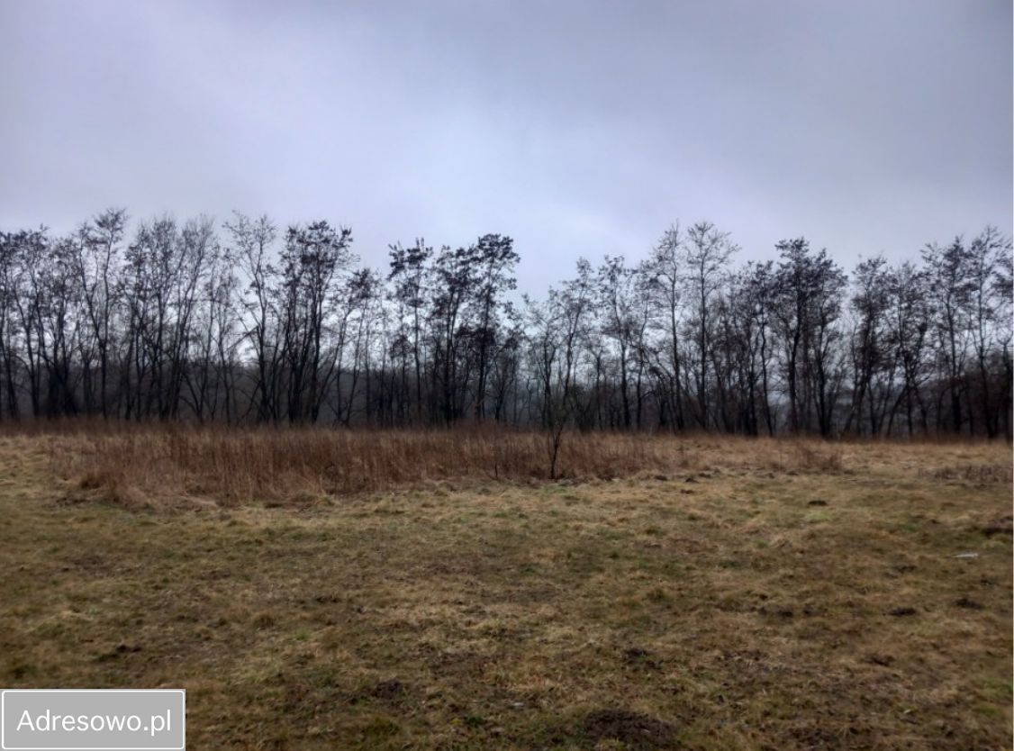 Działka inwestycyjna Gdów, ul. Folwarczna