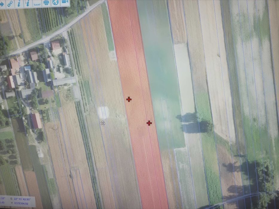 Działka rolna Skrzyniec-Kolonia. Zdjęcie 5