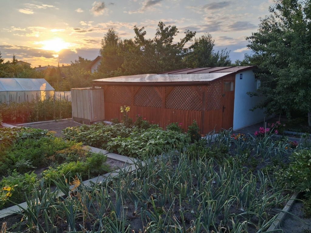 Działka rod Ostrowiec Świętokrzyski, ul. Marii Dąbrowskiej. Zdjęcie 7