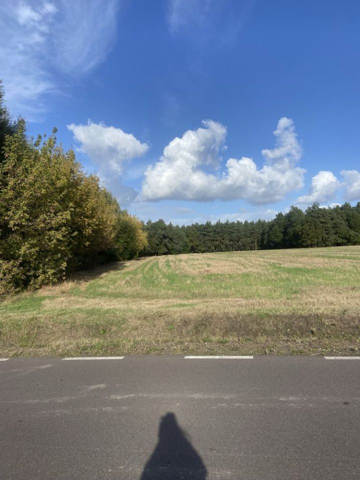 Działka leśna Polesie. Zdjęcie 4