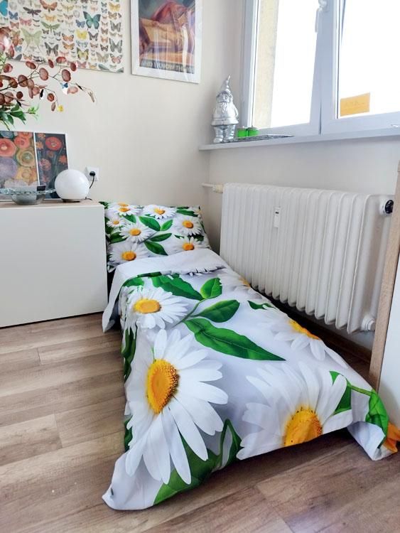 Mieszkanie 1-pokojowe Szczecin Centrum, ul. Bolesława Krzywoustego. Zdjęcie 9