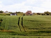 Działka budowlana Nowa Wieś Malborska. Zdjęcie 3