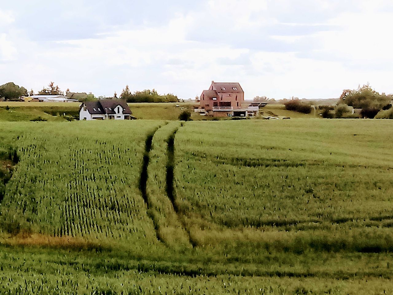 Działka budowlana Nowa Wieś Malborska. Zdjęcie 4
