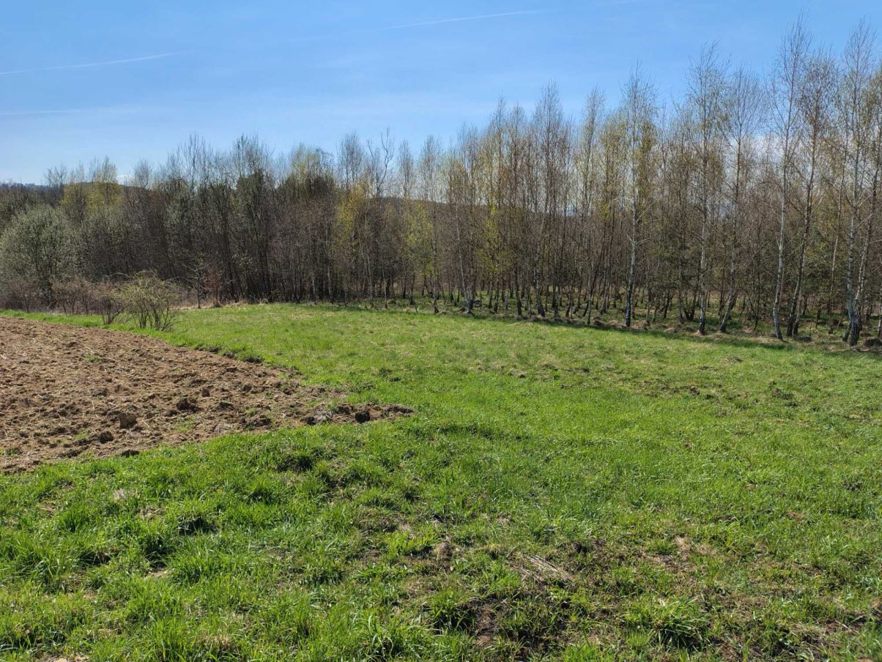 Działka rolno-budowlana Faliszówka. Zdjęcie 4