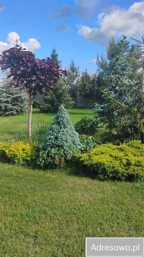 dom wolnostojący, 3 pokoje Dąbrowa. Zdjęcie 7