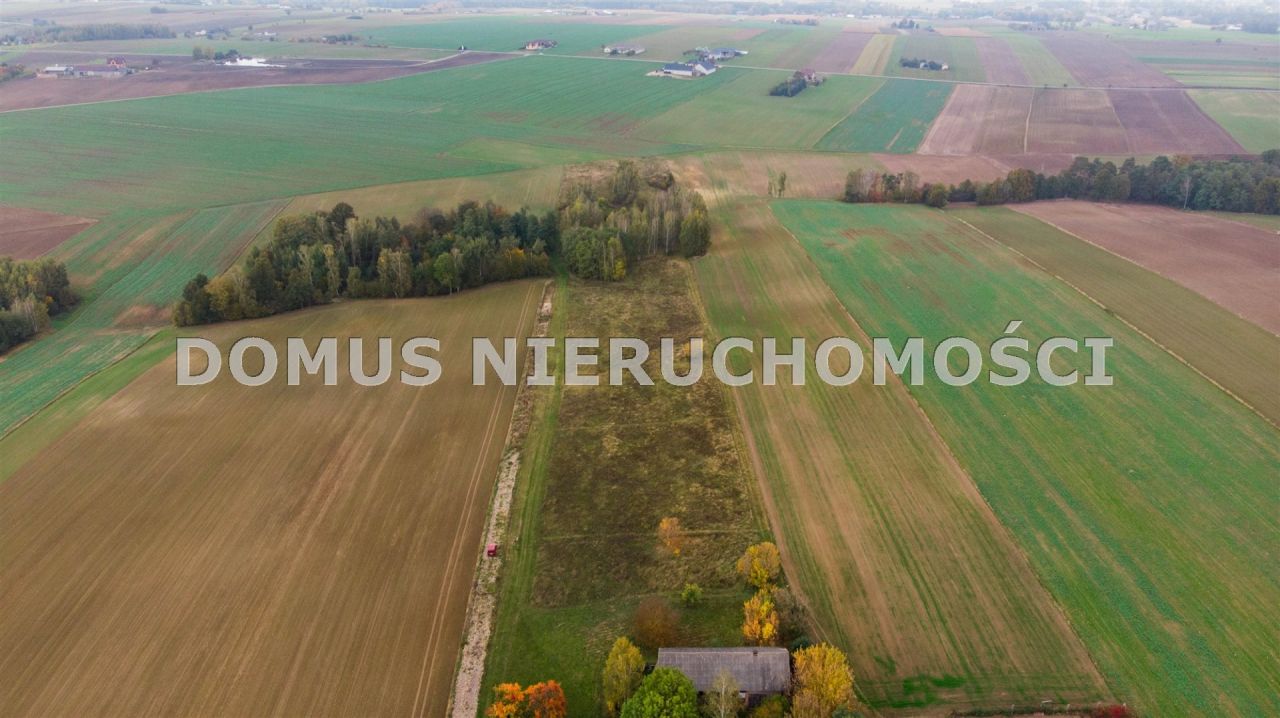 Działka budowlana Jasień. Zdjęcie 5