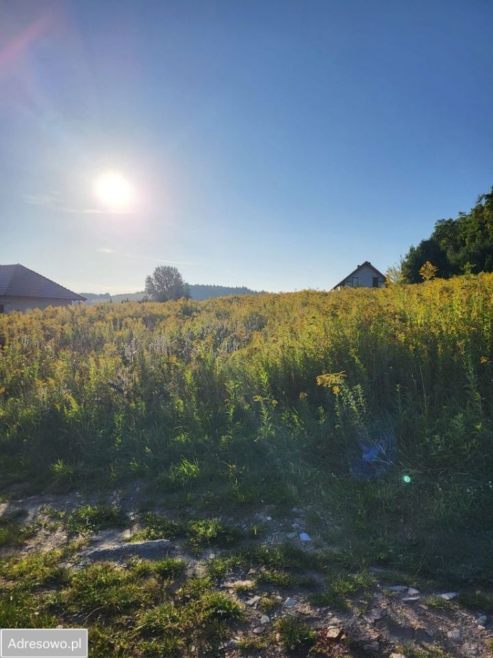 Działka budowlana Dziwiszów, ul. Słoneczna. Zdjęcie 8