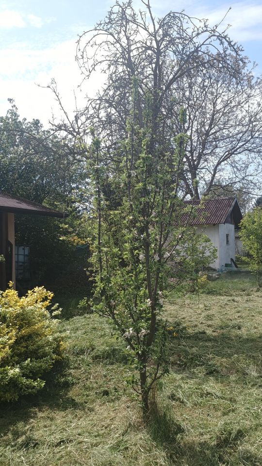 Działka rod Legnica, Ziemnice. Zdjęcie 10