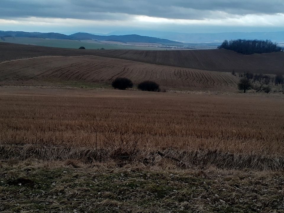 Działka rolno-budowlana Jaszkówka. Zdjęcie 3