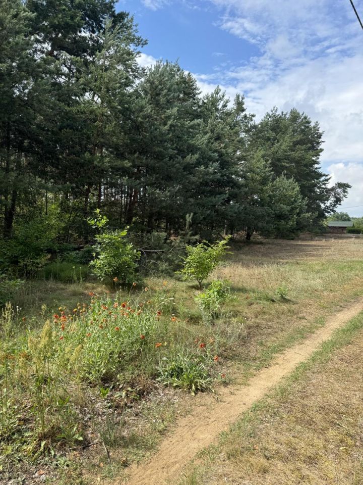 Działka rekreacyjna Przeradowo. Zdjęcie 9