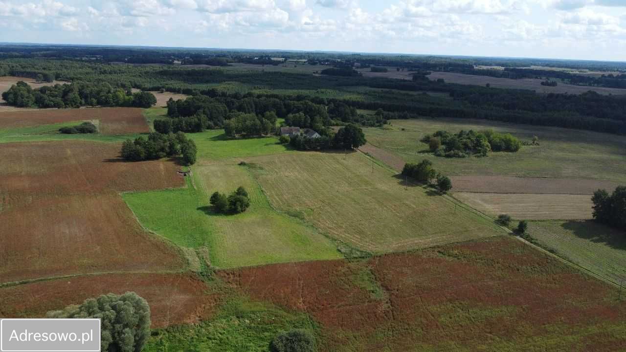 Działka rolna Śmilcz. Zdjęcie 2