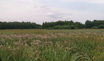 Działka rolna Plutycze