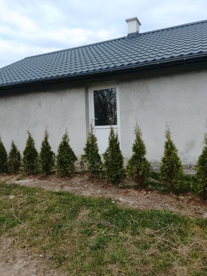 gospodarstwo Nowy Działyń. Zdjęcie 3