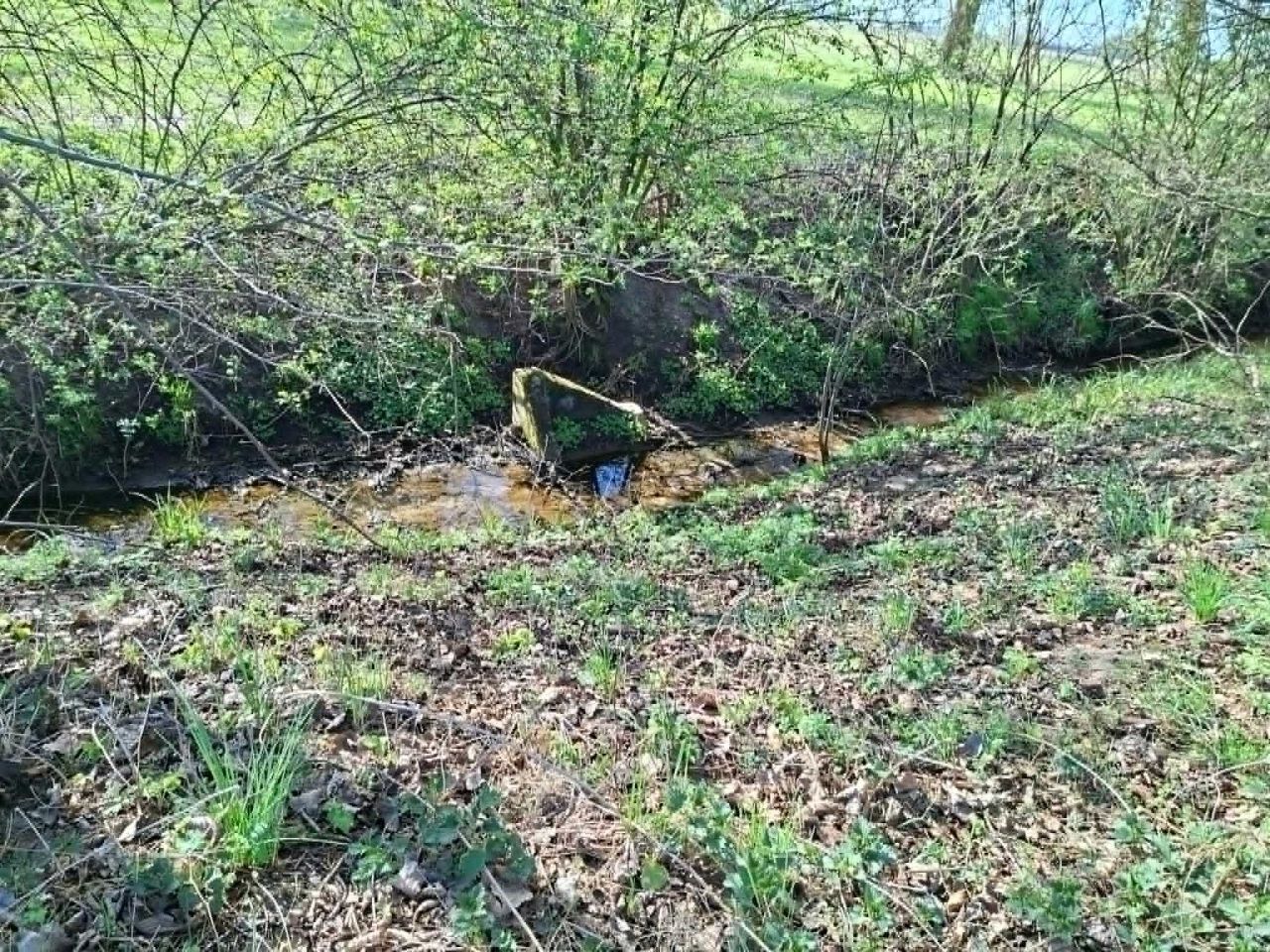 Działka rolna Szczepanów. Zdjęcie 7